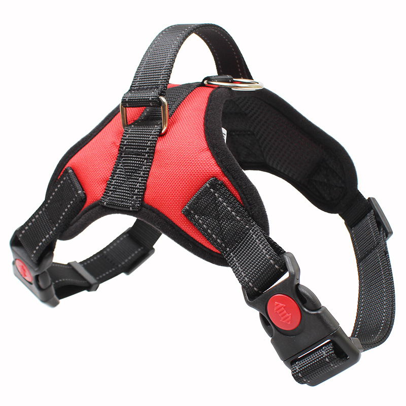 Custom step-in dog harness