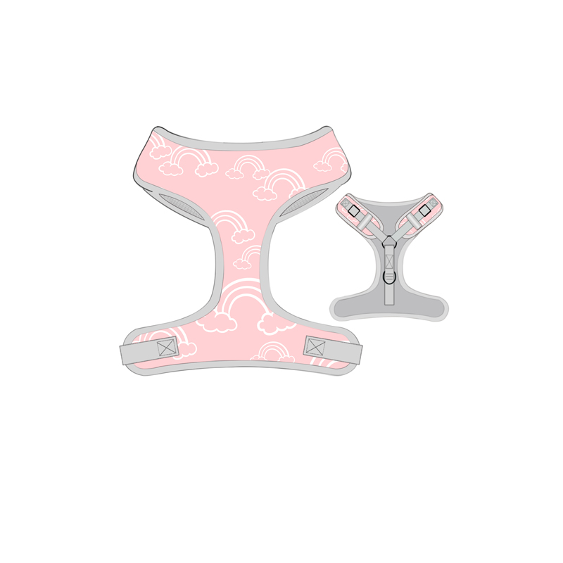 Personalized pattern in Pet harness set