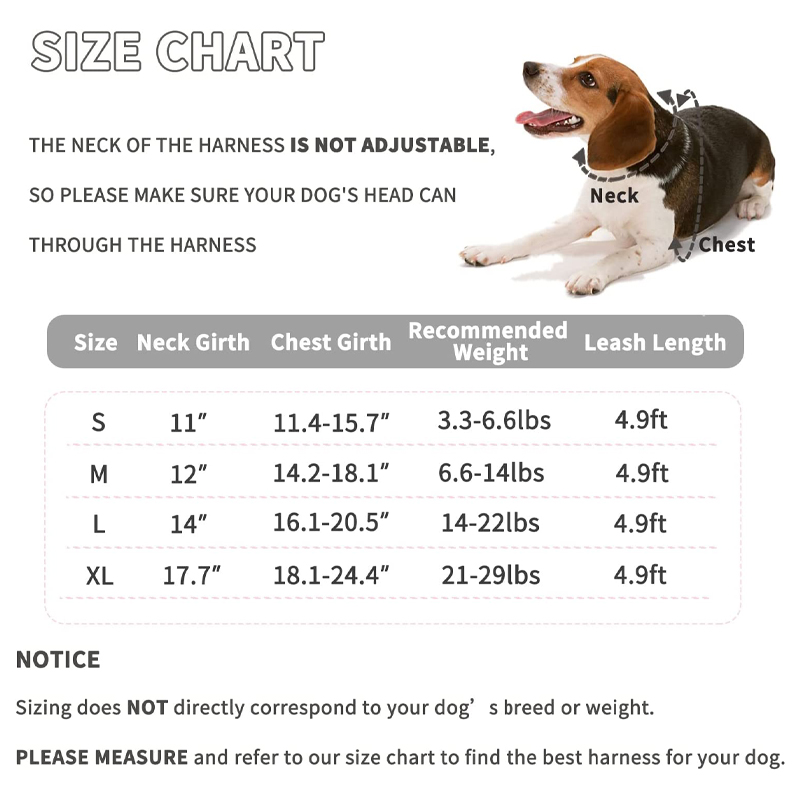 Personalized pattern in Pet harness set