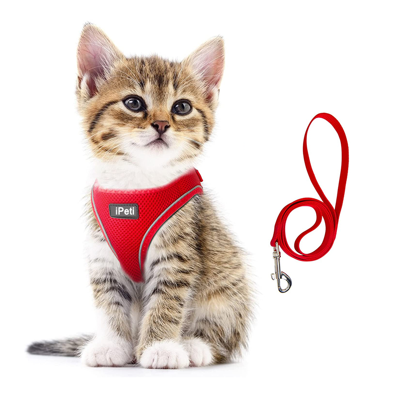 Adjustable Cat Vest Harness with Reflective Strap Comfort Fit for Pet Kitten