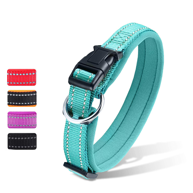 Hot Selling Reflective Nylon Rope Dog  Lead Dog Leash
