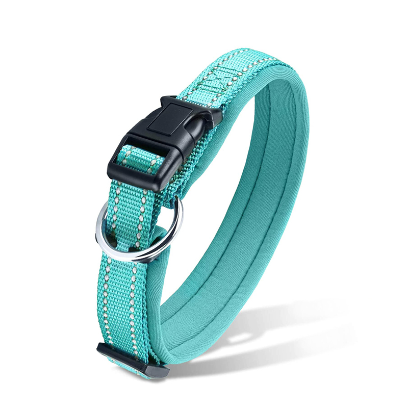 Hot Selling Reflective Nylon Rope Dog  Lead Dog Leash