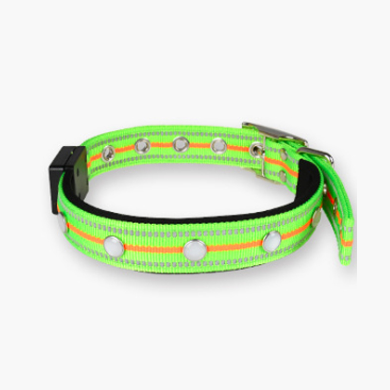 USB Rechargeable with Water Resistant Glowing Dog Collar Light
