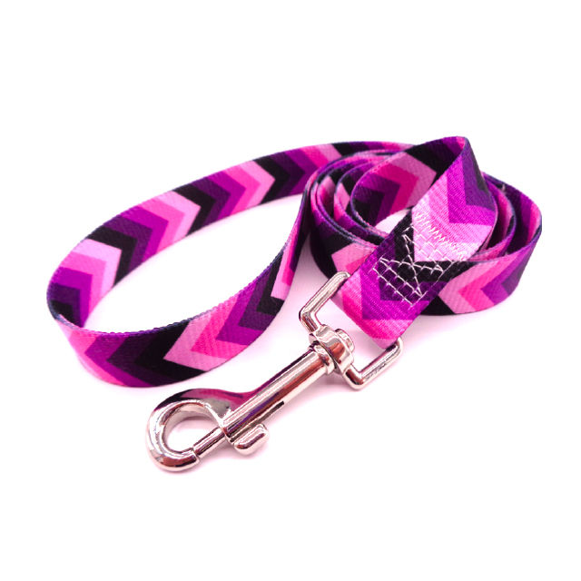 Custom Personalized pattern on pet leash