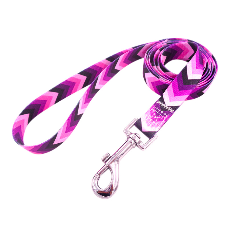 Custom Personalized pattern on pet leash