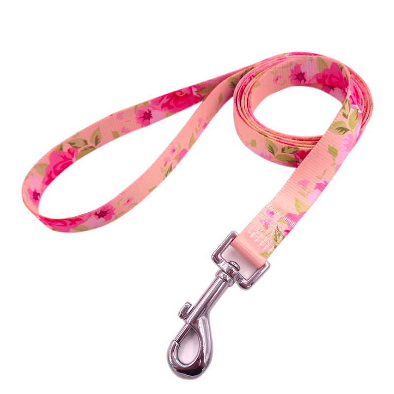 Custom Personalized pattern on pet leash