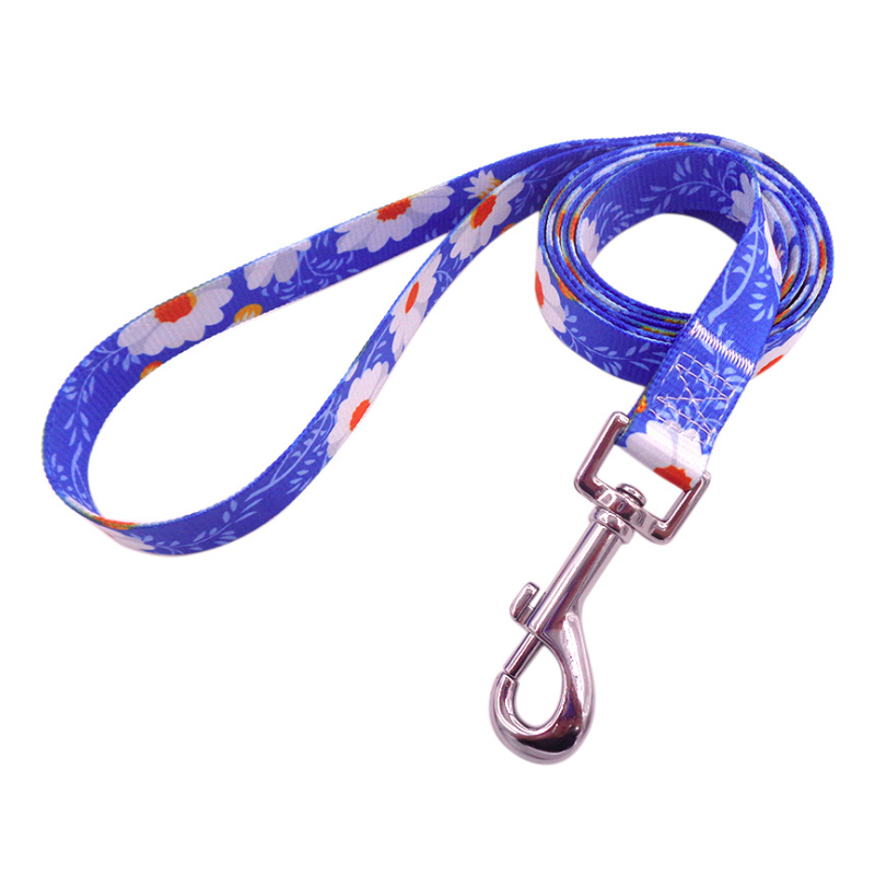 Custom Personalized pattern on pet leash