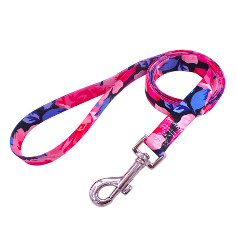 Custom Personalized pattern on pet leash