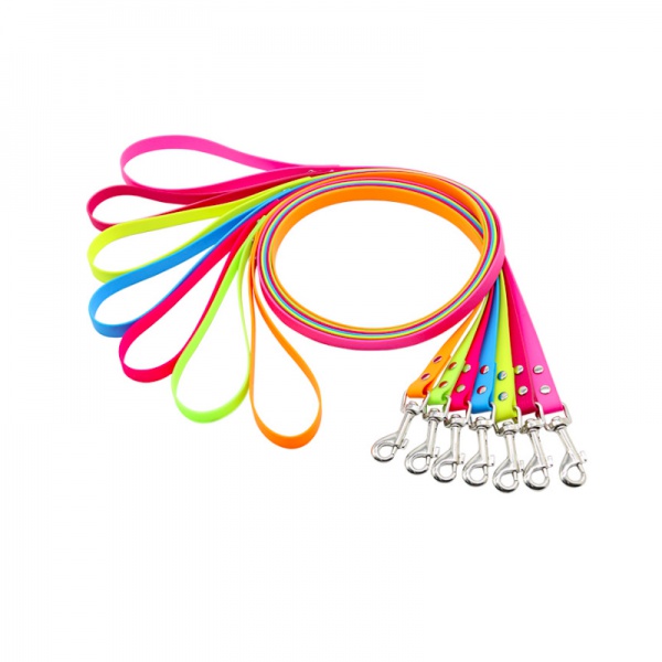 Custom PVC polyester webbing dog leash