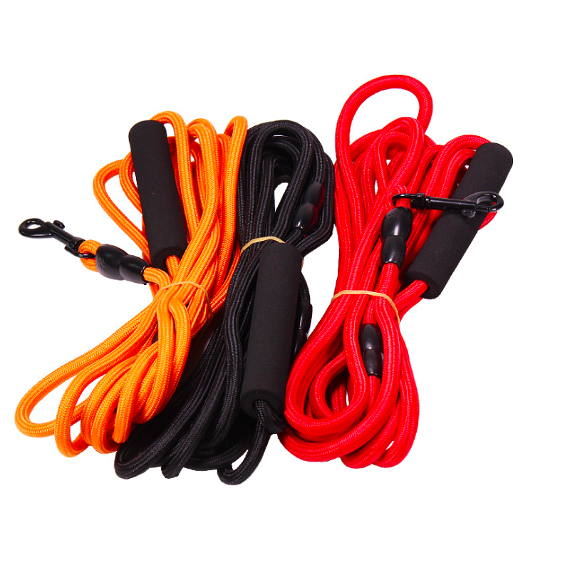Premium Slip Lead Dog Leash