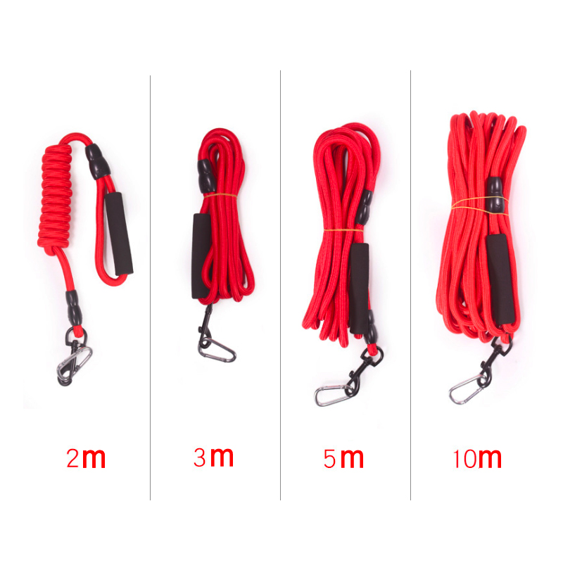 Premium Slip Lead Dog Leash