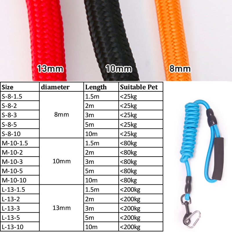 Premium Slip Lead Dog Leash