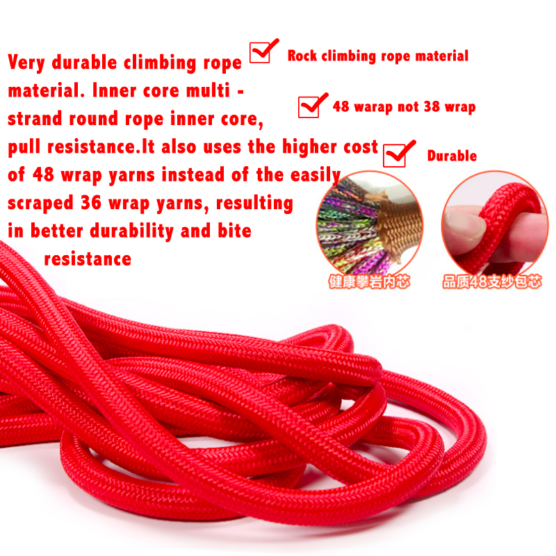 Premium Slip Lead Dog Leash
