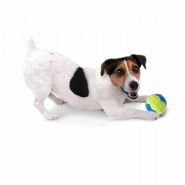 Durable TRP LED Light Up Fetch Ball Dog Toy