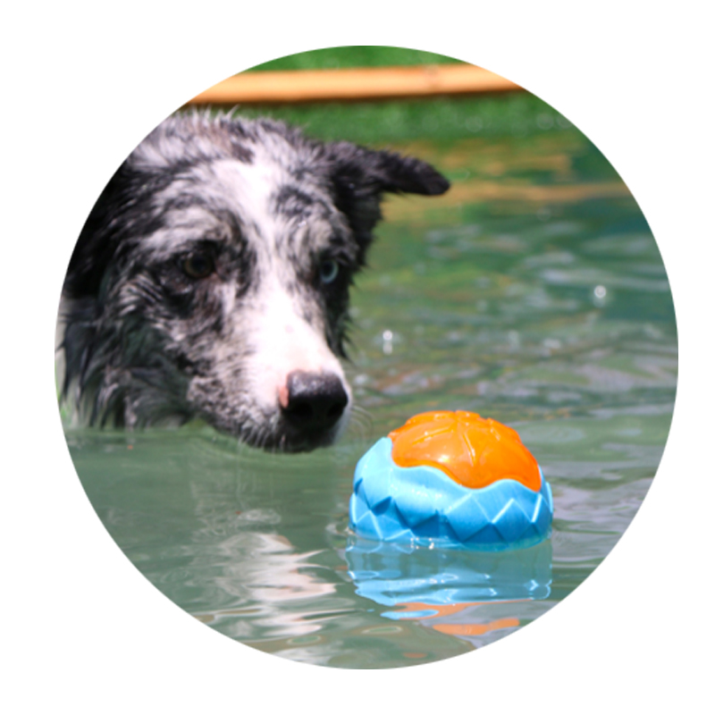 Durable TRP LED Light Up Fetch Ball Dog Toy