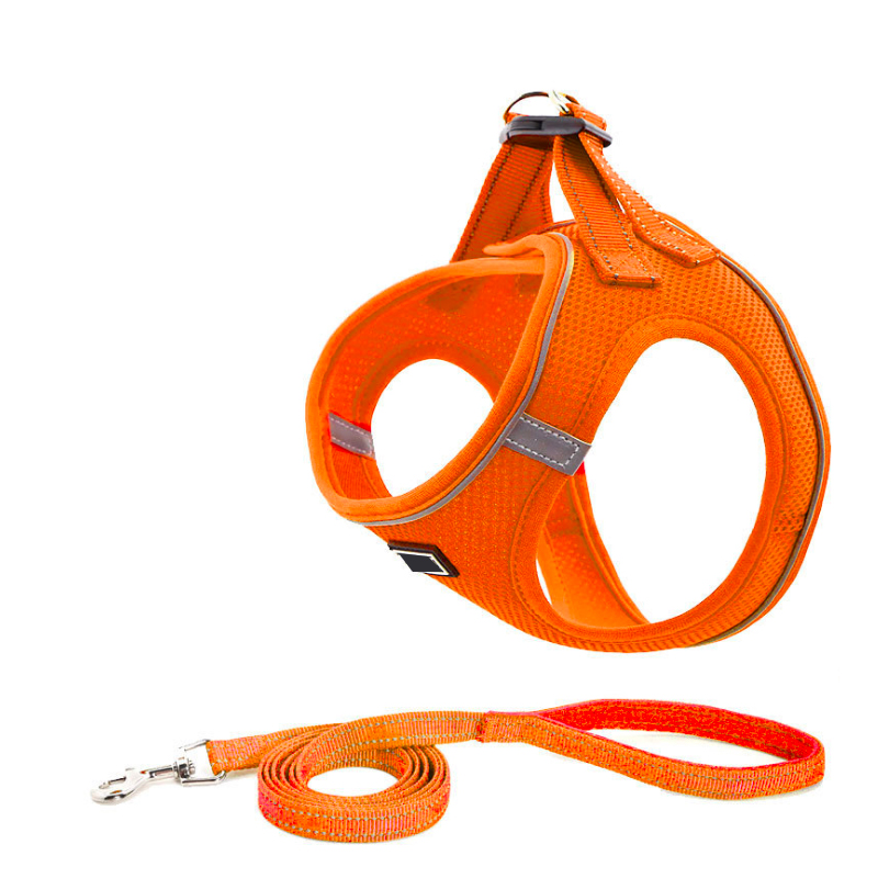 ll Weather Mesh Step in Vest Harness for Small and Medium Dogs