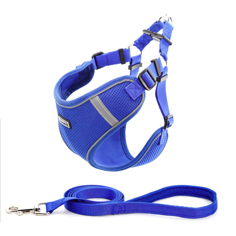 Easy Walk Soft Step in Escape Proof Reflective Harness and Leash Set