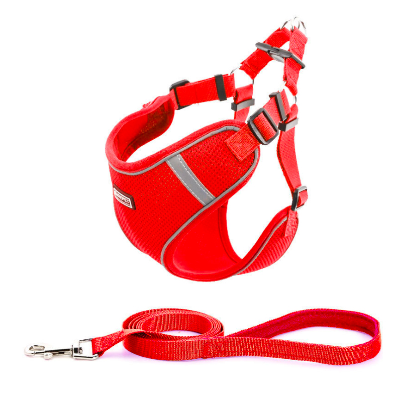 Easy Walk Soft Step in Escape Proof Reflective Harness and Leash Set