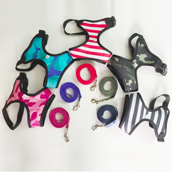 Custom dog step in harness  set
