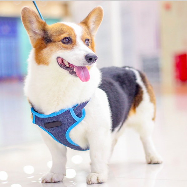 Plaid Dog Harness set for Small Dogs