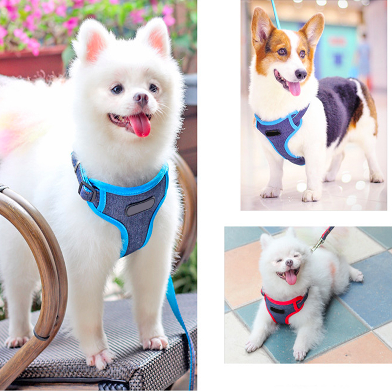 Plaid Dog Harness set for Small Dogs