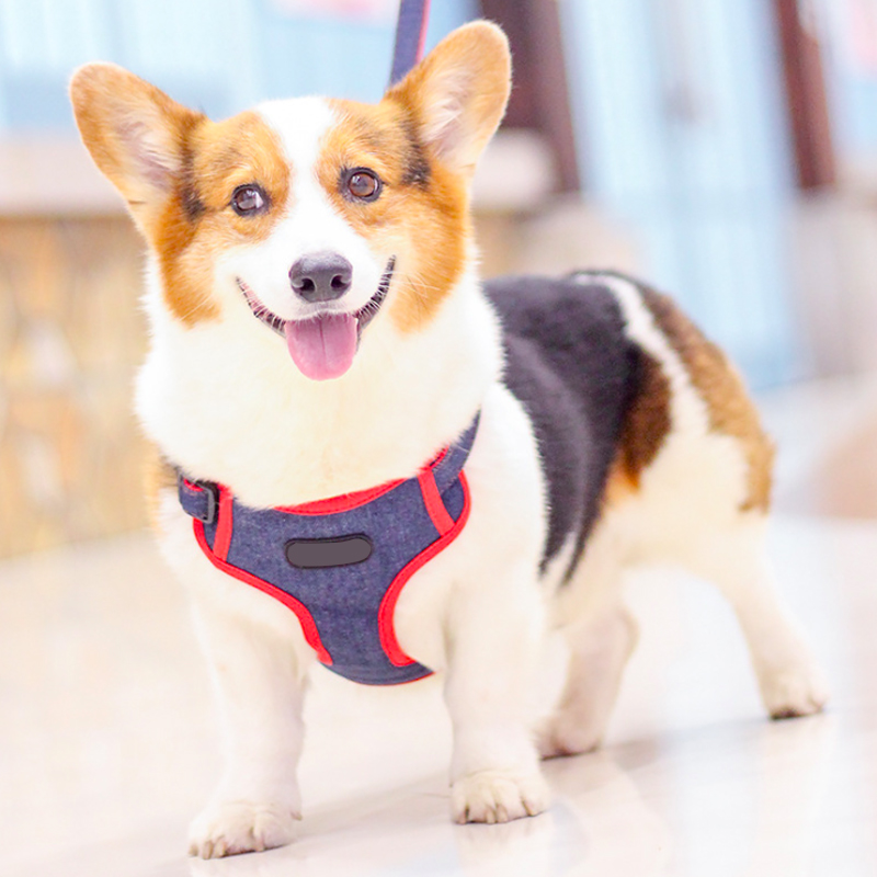 Plaid Dog Harness set for Small Dogs