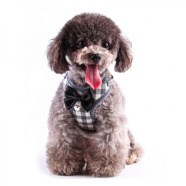 Step in No Pull Dog Vest Harness and Leash