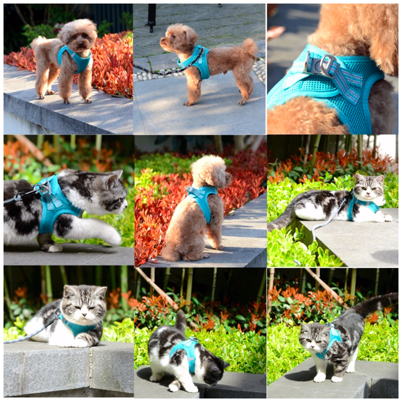 Custom Step-in Air Dog Harness