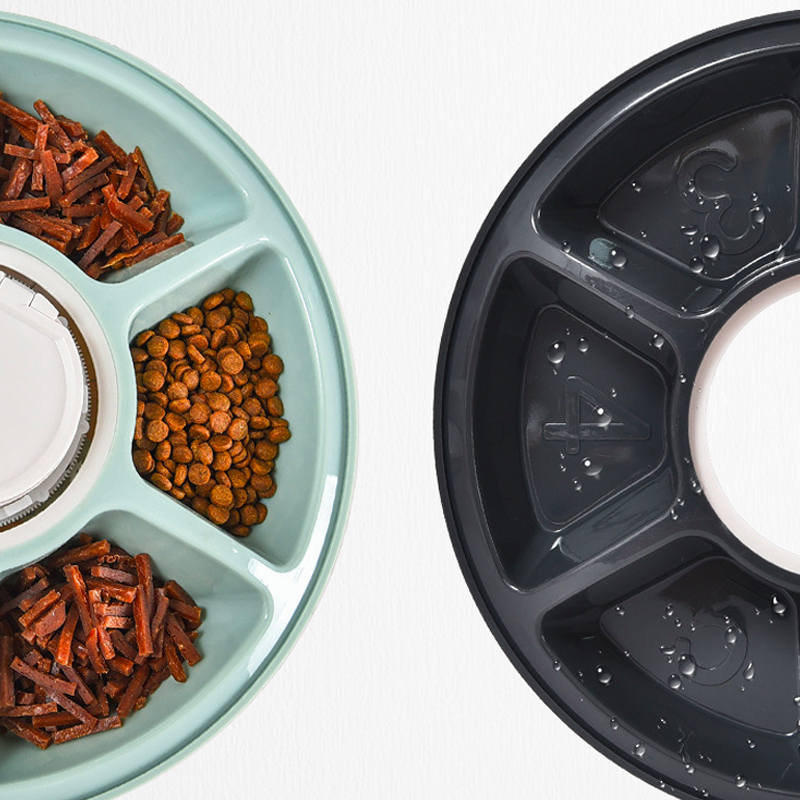 6-Meal Automatic Wet and Dry Food Pet Feeder with Programmable Timer
