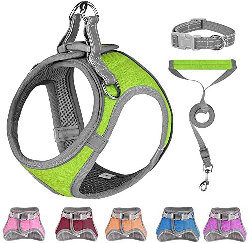 No Pull Dog Harness Adjustable Comfortable Easy to Control for Dog Walking Outdoor