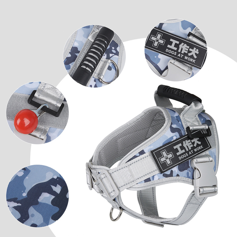 dog jacket with harness