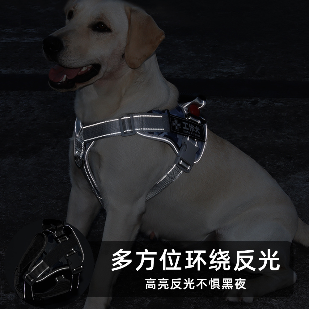 dog jacket with harness