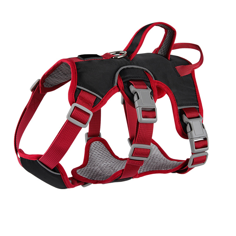 Custom Escape Proof Harness