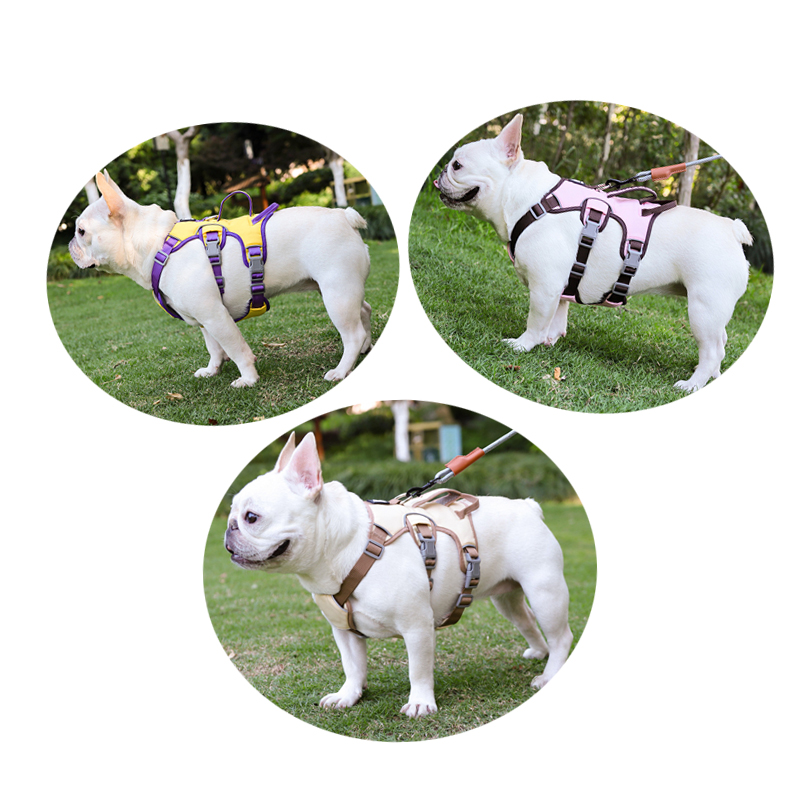 Custom Escape Proof Harness
