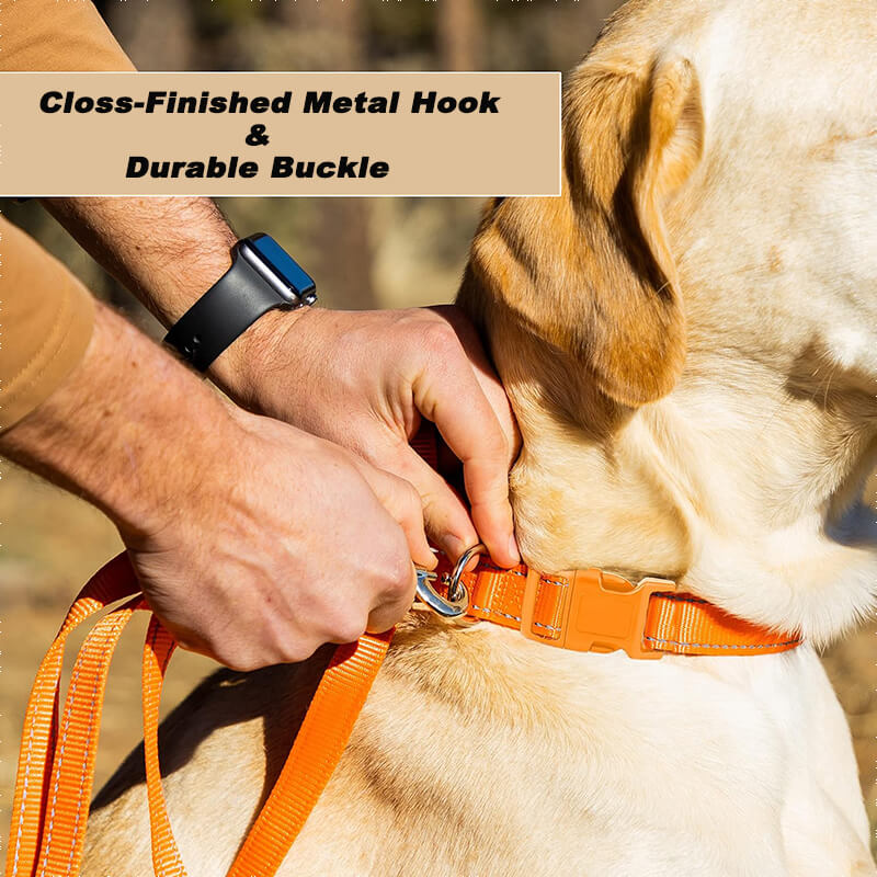 Personalized Dog Collars - Reflective Nylon Collar