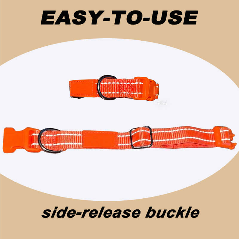 Personalized Dog Collars - Reflective Nylon Collar