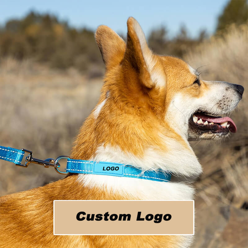 Personalized Dog Collars - Reflective Nylon Collar