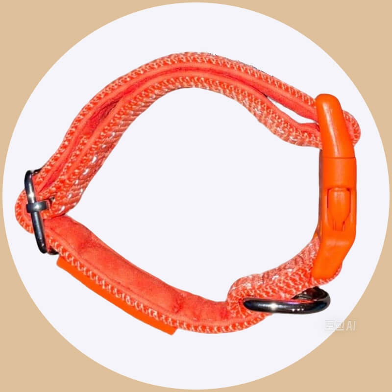 Personalized Dog Collars - Reflective Nylon Collar
