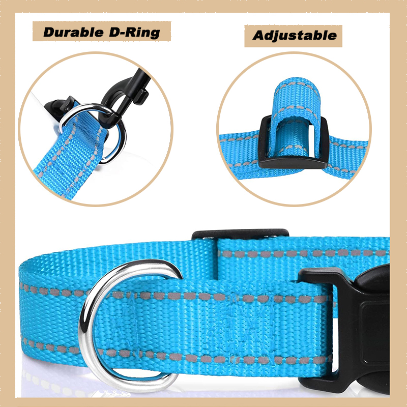 Adjustable Classic Dog Collar