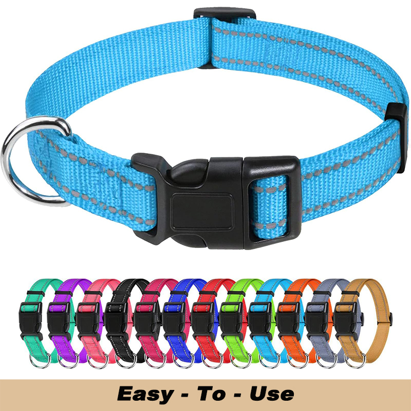 Adjustable Classic Dog Collar