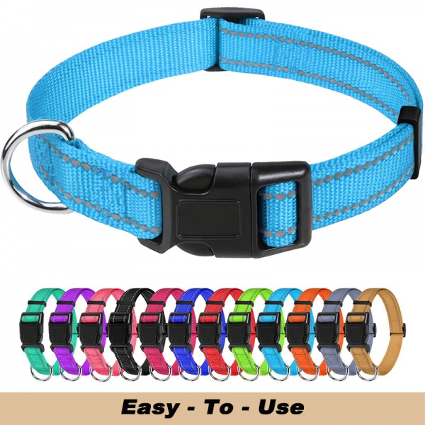 Adjustable Classic Dog Collar