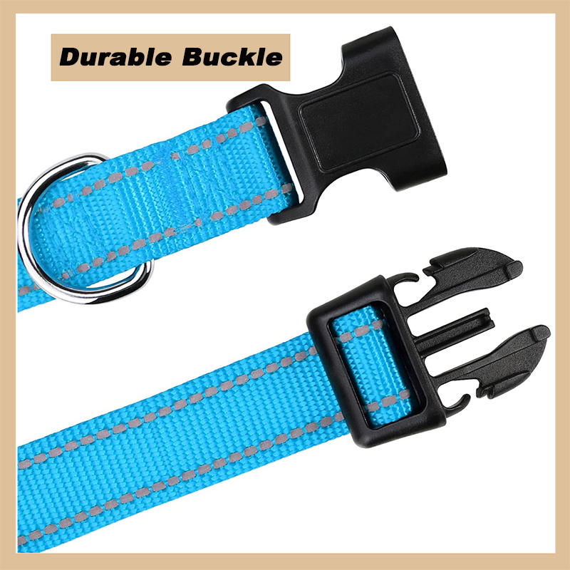 Adjustable Classic Dog Collar