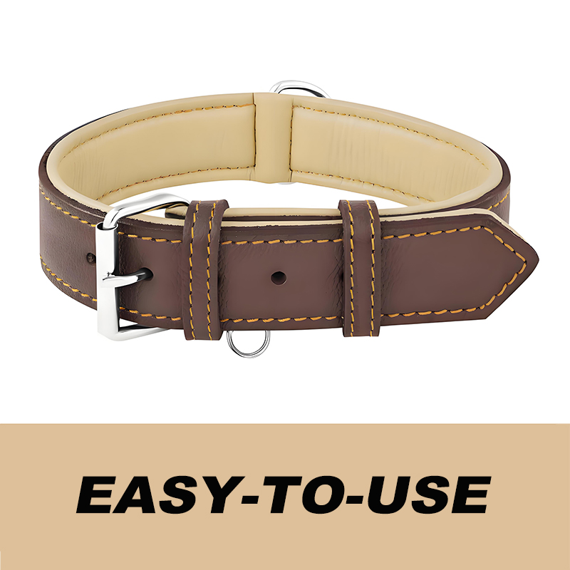 Leather Dog Collar, Large Dog Collar