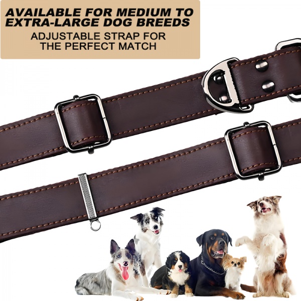 Leather Dog Collar with Metal Buckle