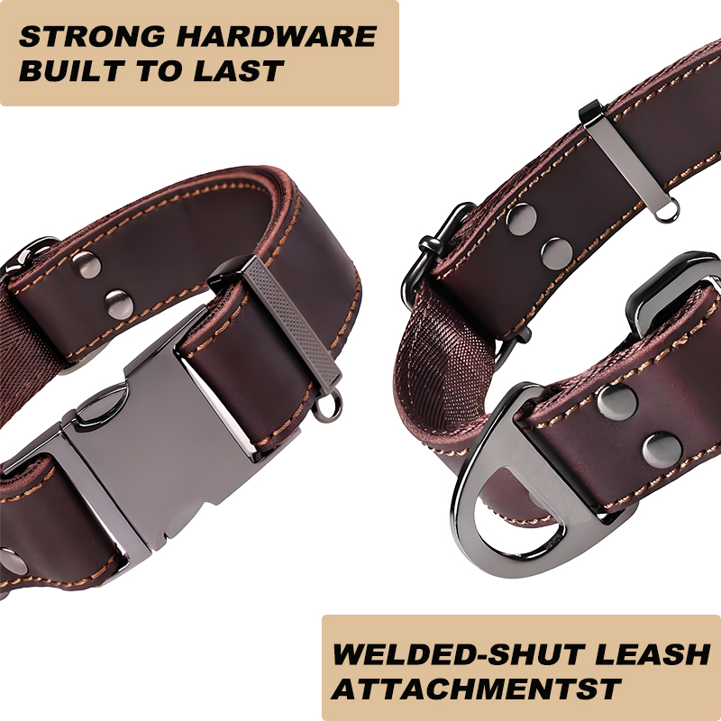 Leather Dog Collar with Metal Buckle