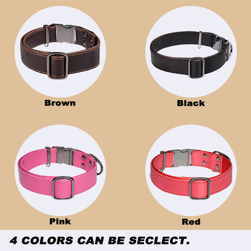 Leather Dog Collar with Metal Buckle
