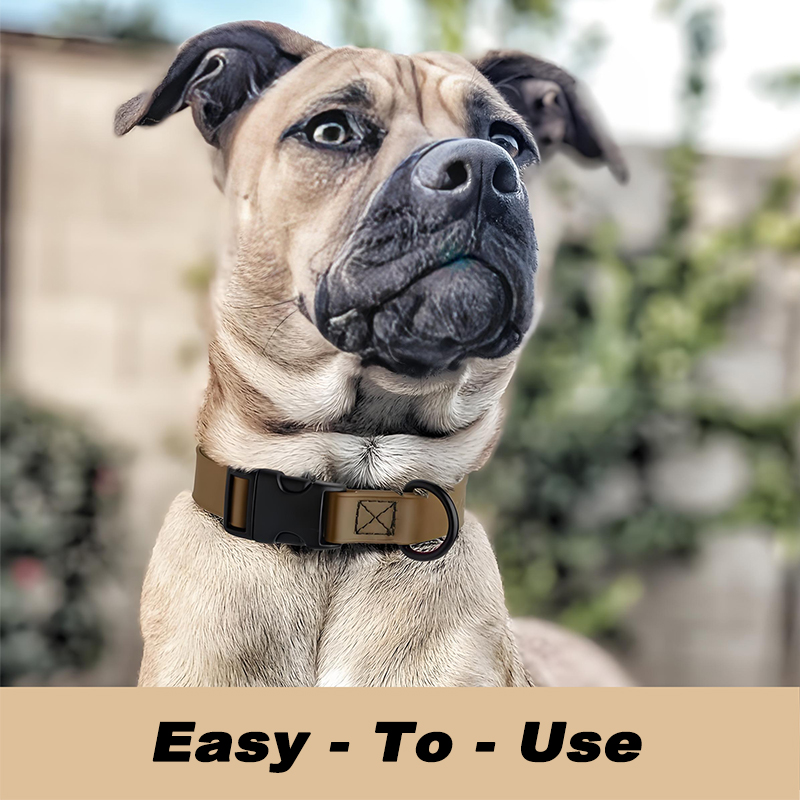 Biothane Waterproof Dog Colla