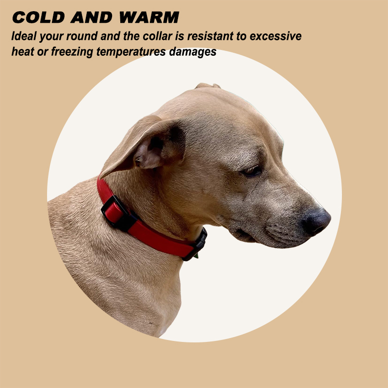 Biothane Waterproof Dog Colla