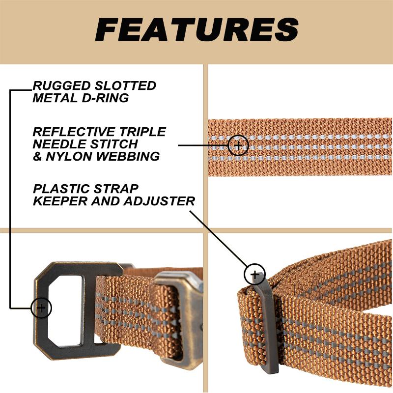 Adjustable Nylon Webbing Collars for Dogs