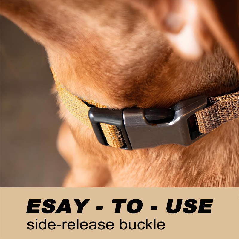 Adjustable Nylon Webbing Collars for Dogs